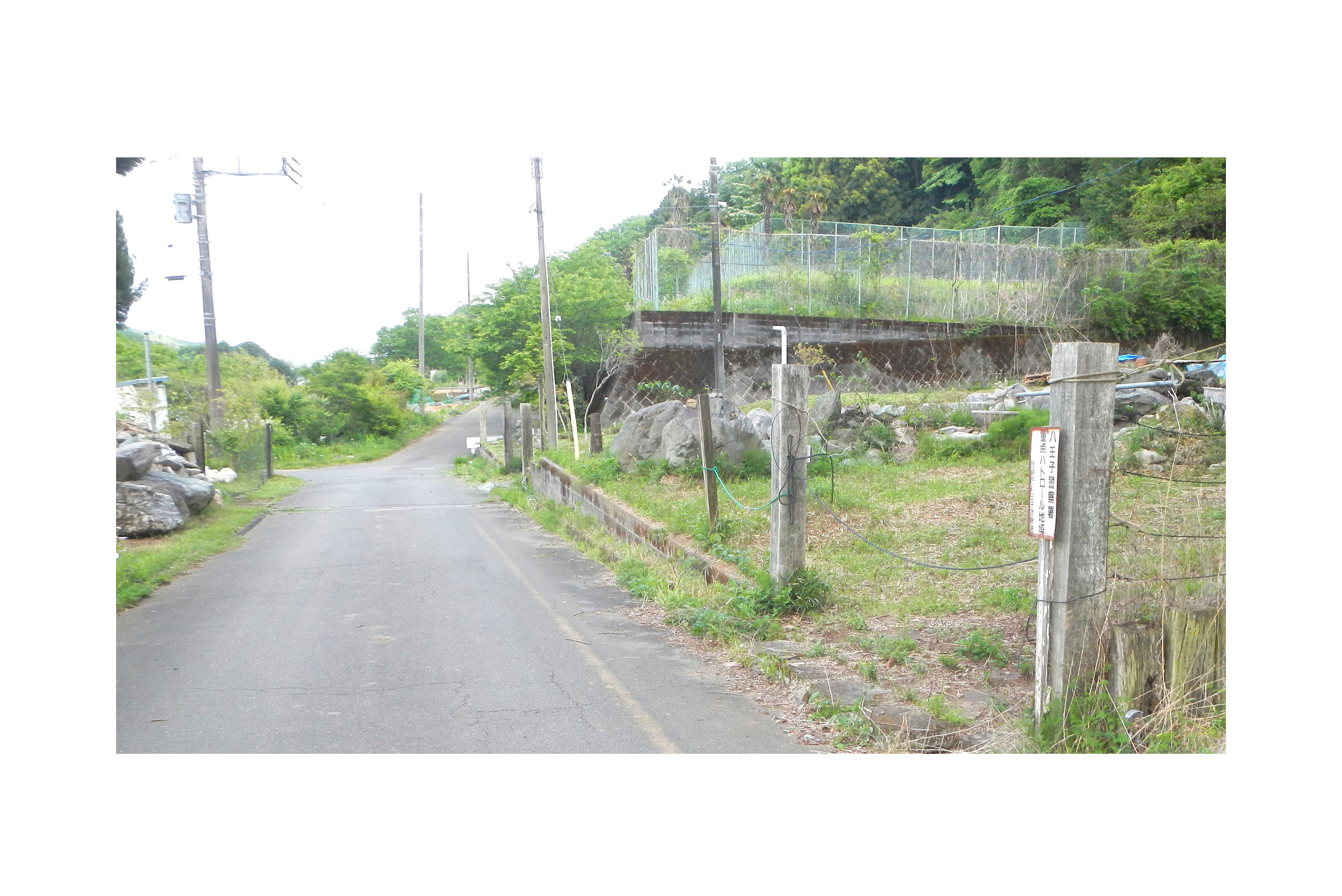 サンプル画像