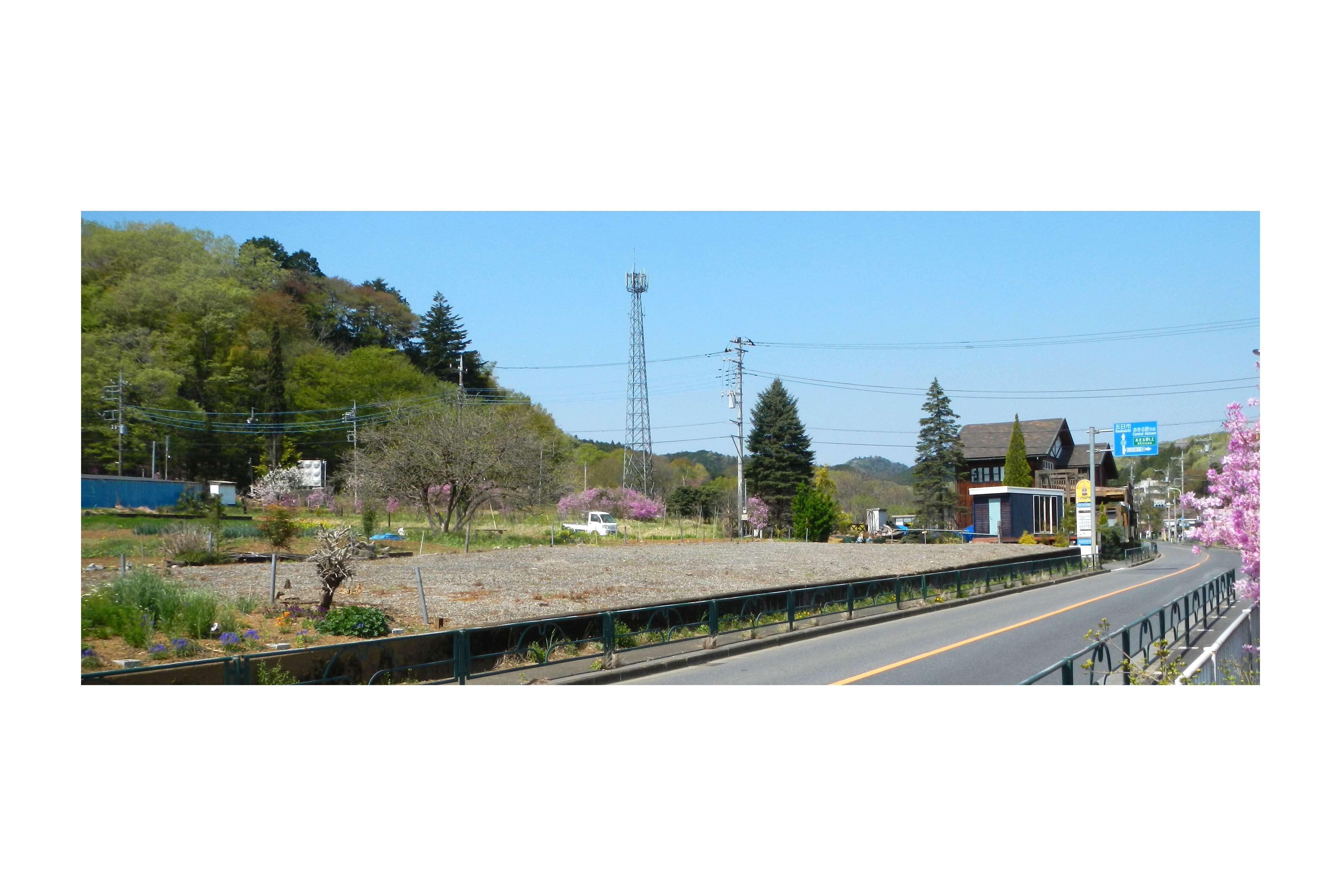 サンプル画像