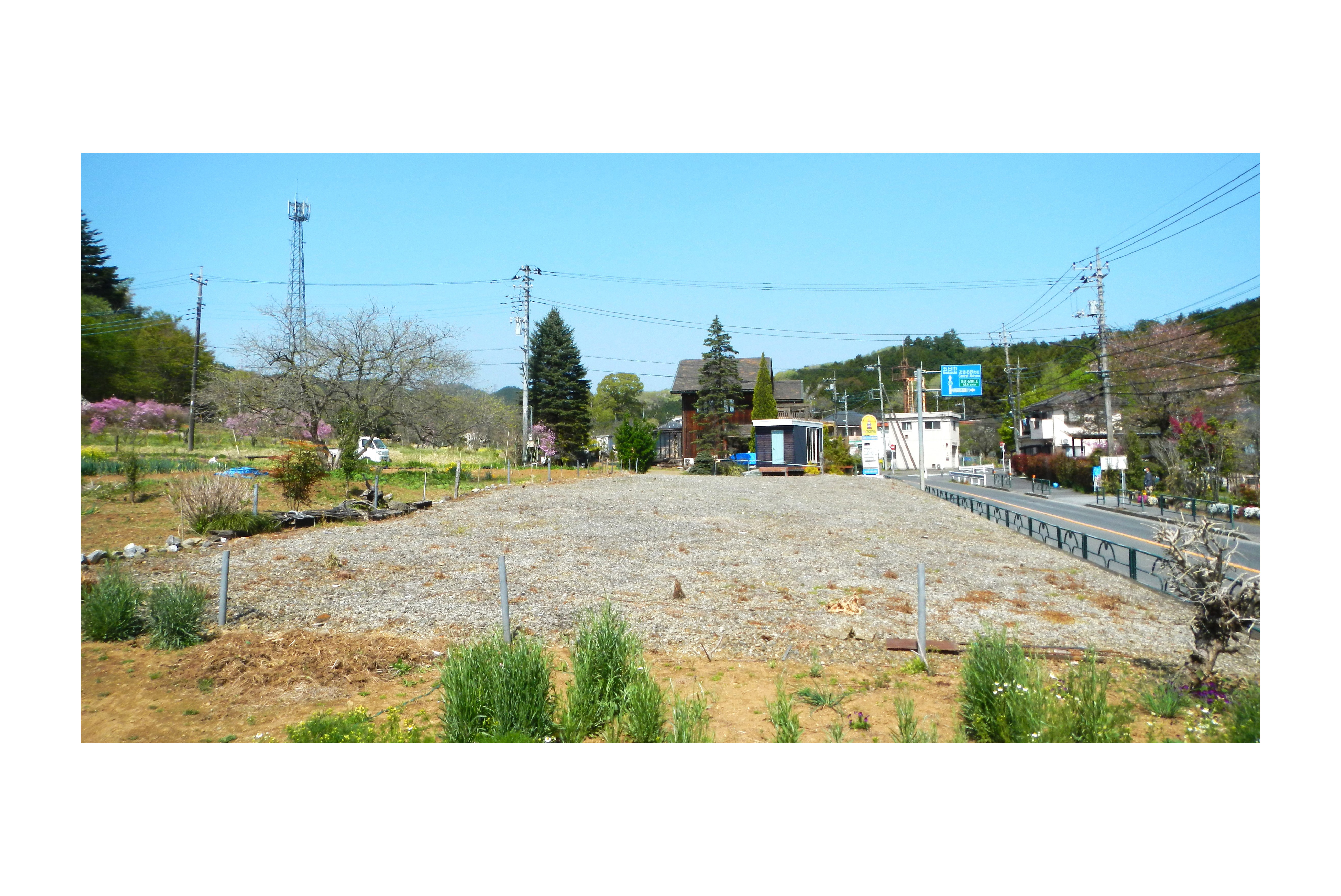 サンプル画像